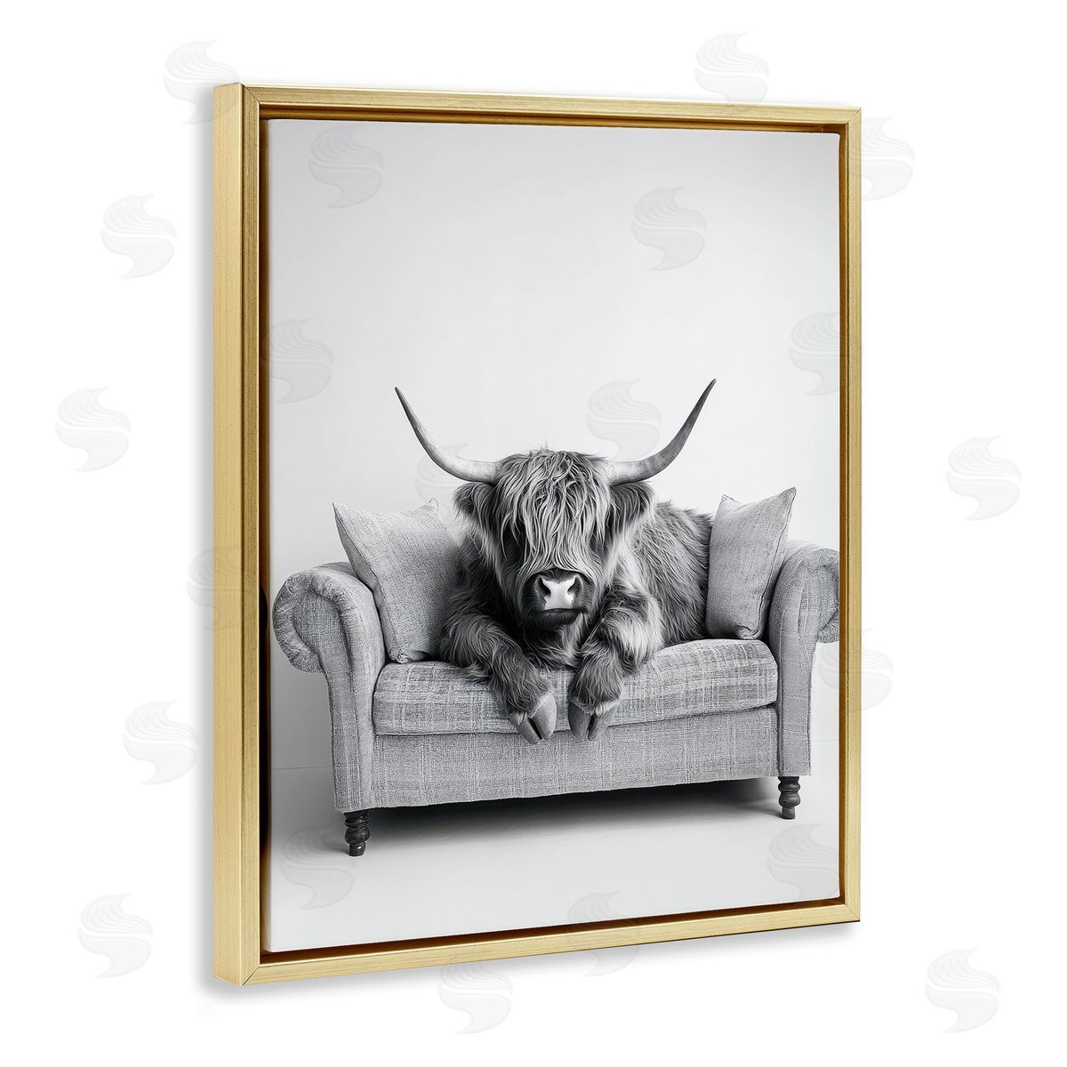 Petal Prints Design | Highland Cattle on Couch