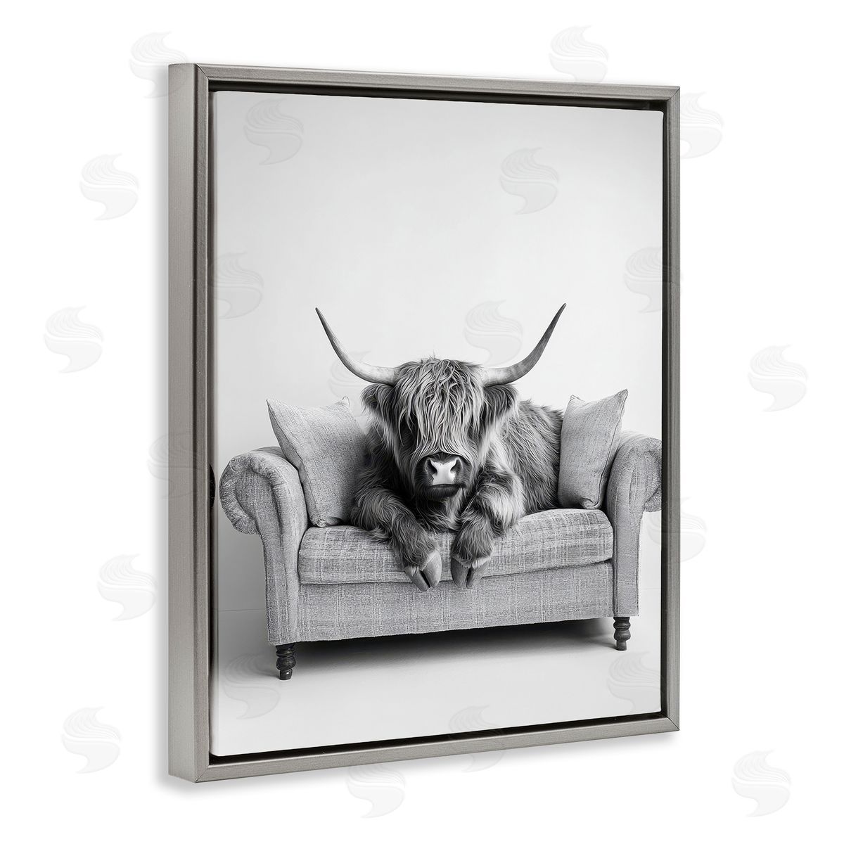 Petal Prints Design | Highland Cattle on Couch