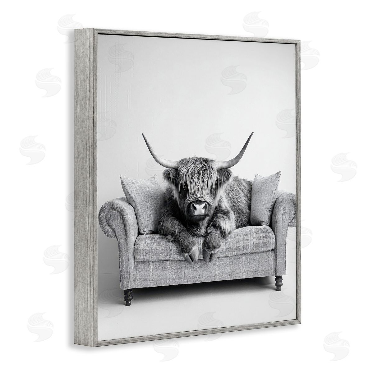 Petal Prints Design | Highland Cattle on Couch