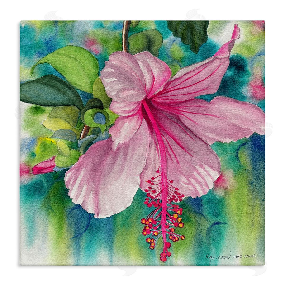 Christine Reichow | Delicate Beauty Hibiscus