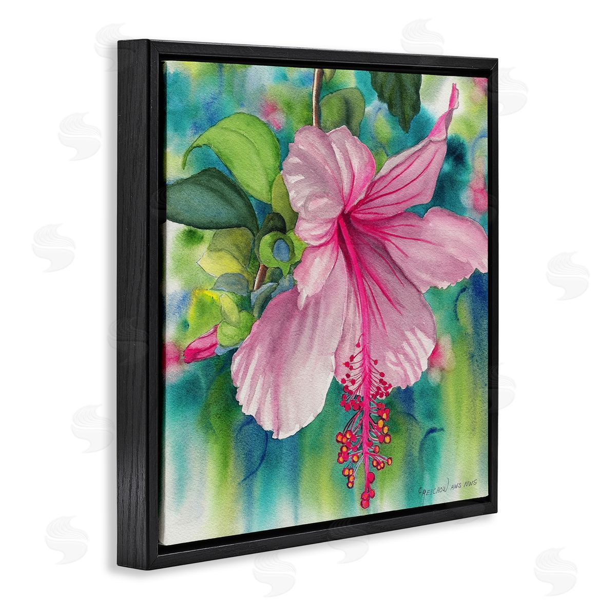 Christine Reichow | Delicate Beauty Hibiscus