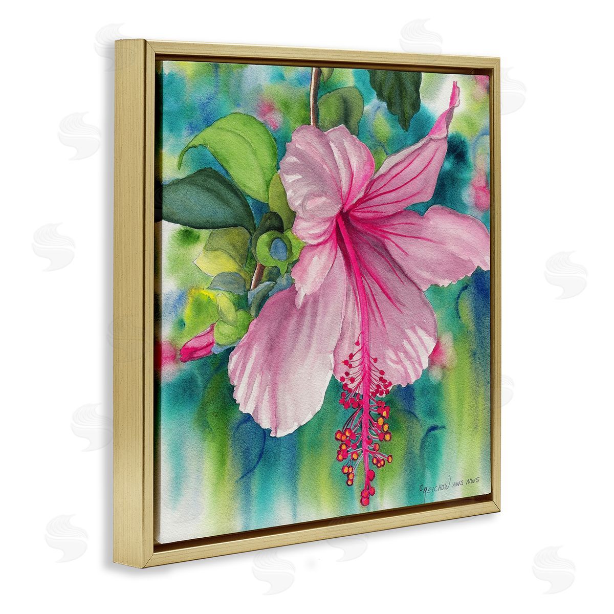 Christine Reichow | Delicate Beauty Hibiscus