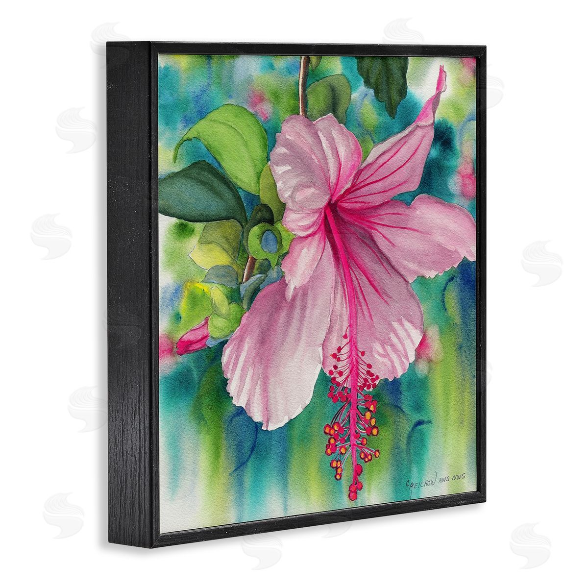 Christine Reichow | Delicate Beauty Hibiscus
