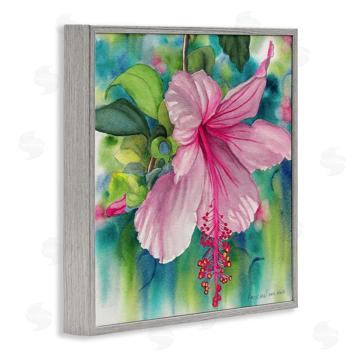 Christine Reichow | Delicate Beauty Hibiscus