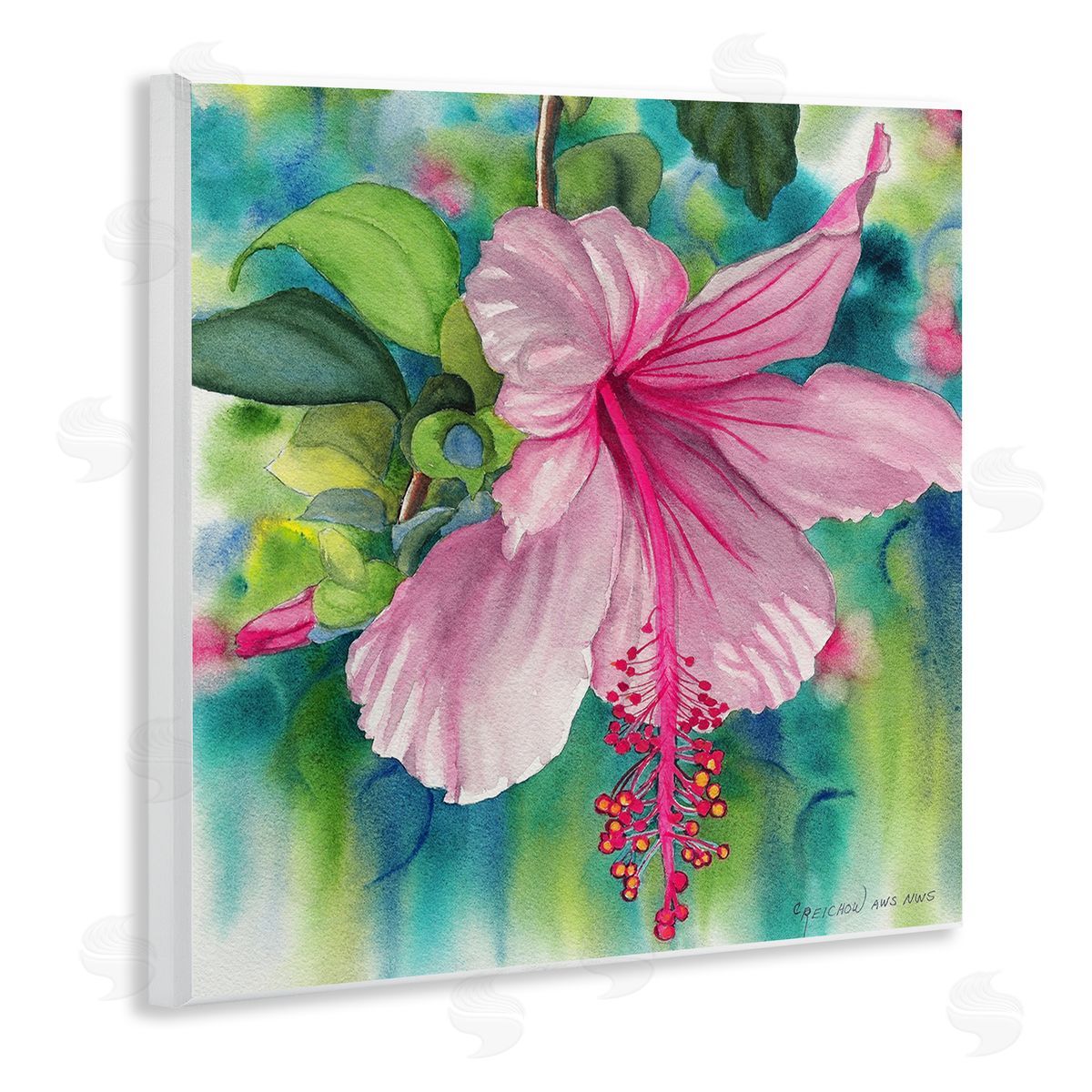 Christine Reichow | Delicate Beauty Hibiscus