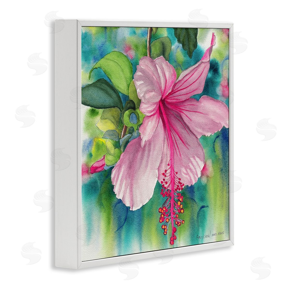 Christine Reichow | Delicate Beauty Hibiscus