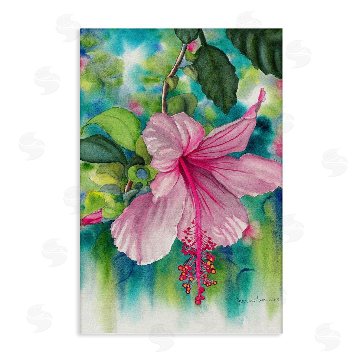 Christine Reichow | Delicate Hibiscus Bloom