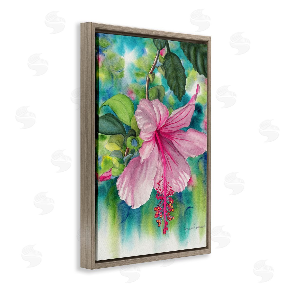 Christine Reichow | Delicate Hibiscus Bloom
