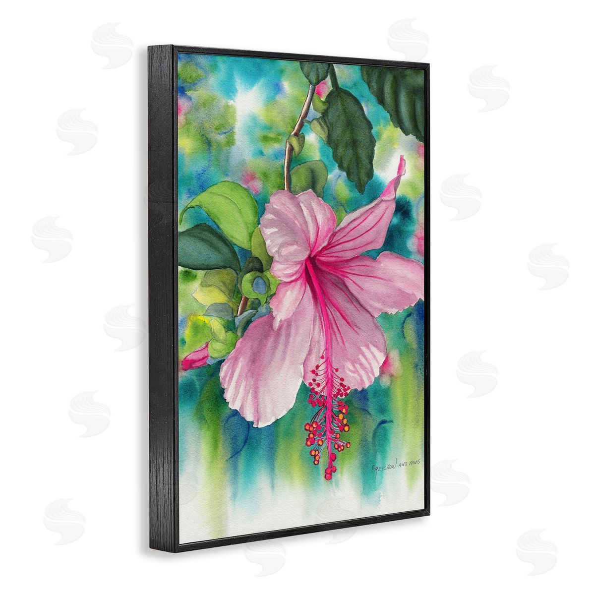 Christine Reichow | Delicate Hibiscus Bloom