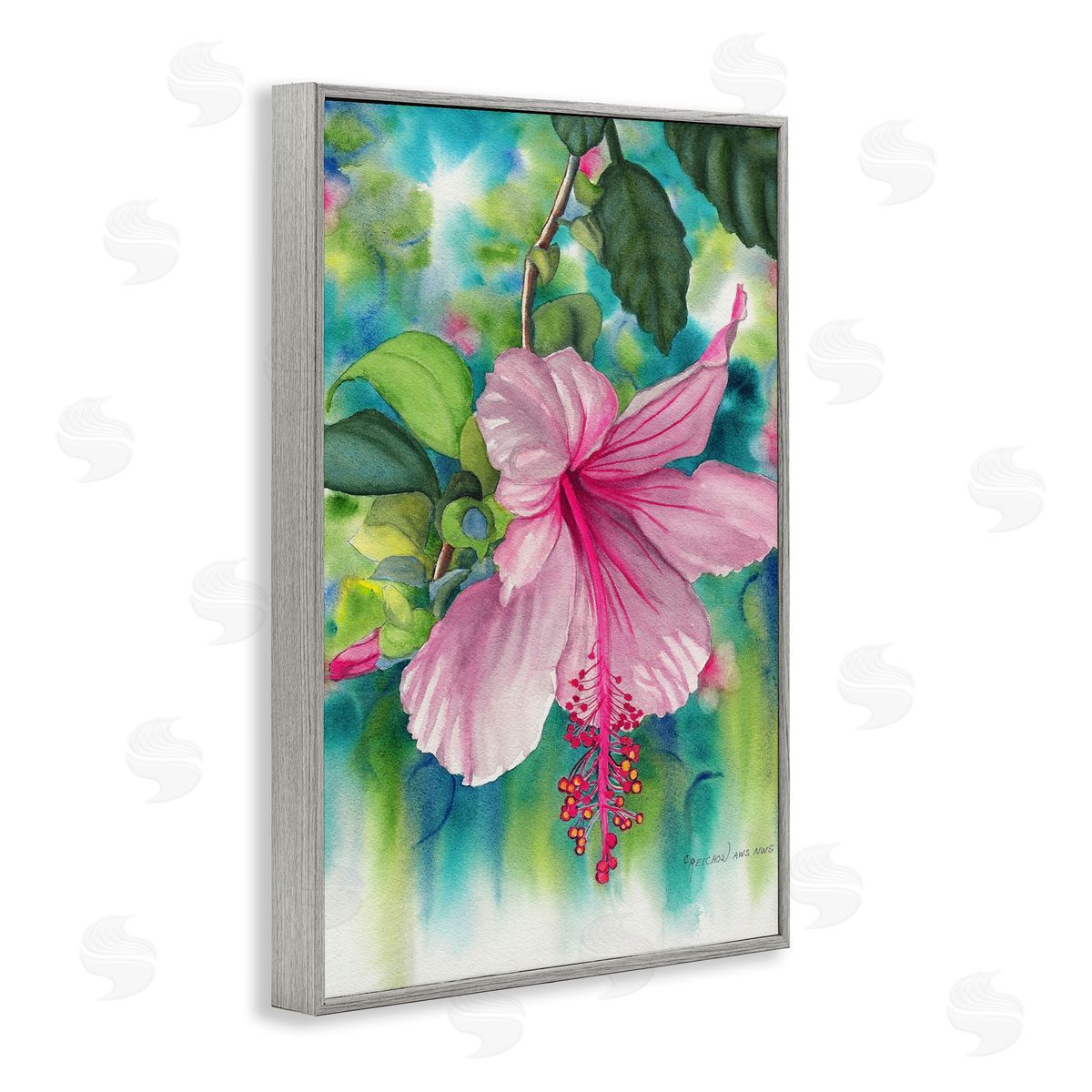 Christine Reichow | Delicate Hibiscus Bloom