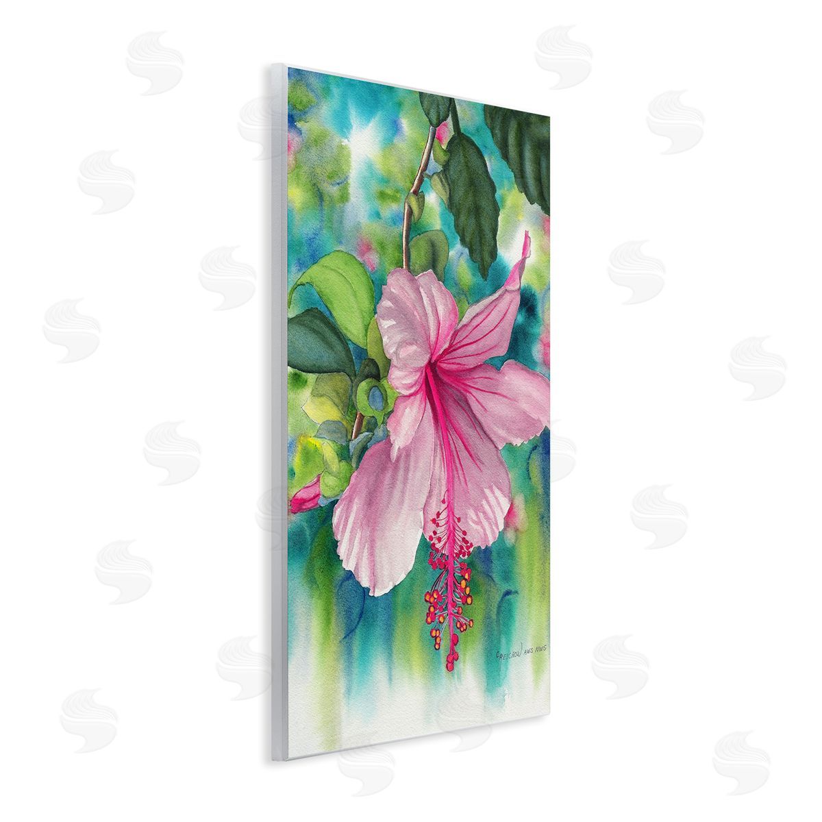 Christine Reichow | Delicate Hibiscus Bloom