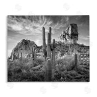 David Drost | Looming Cacti & Canyon View
