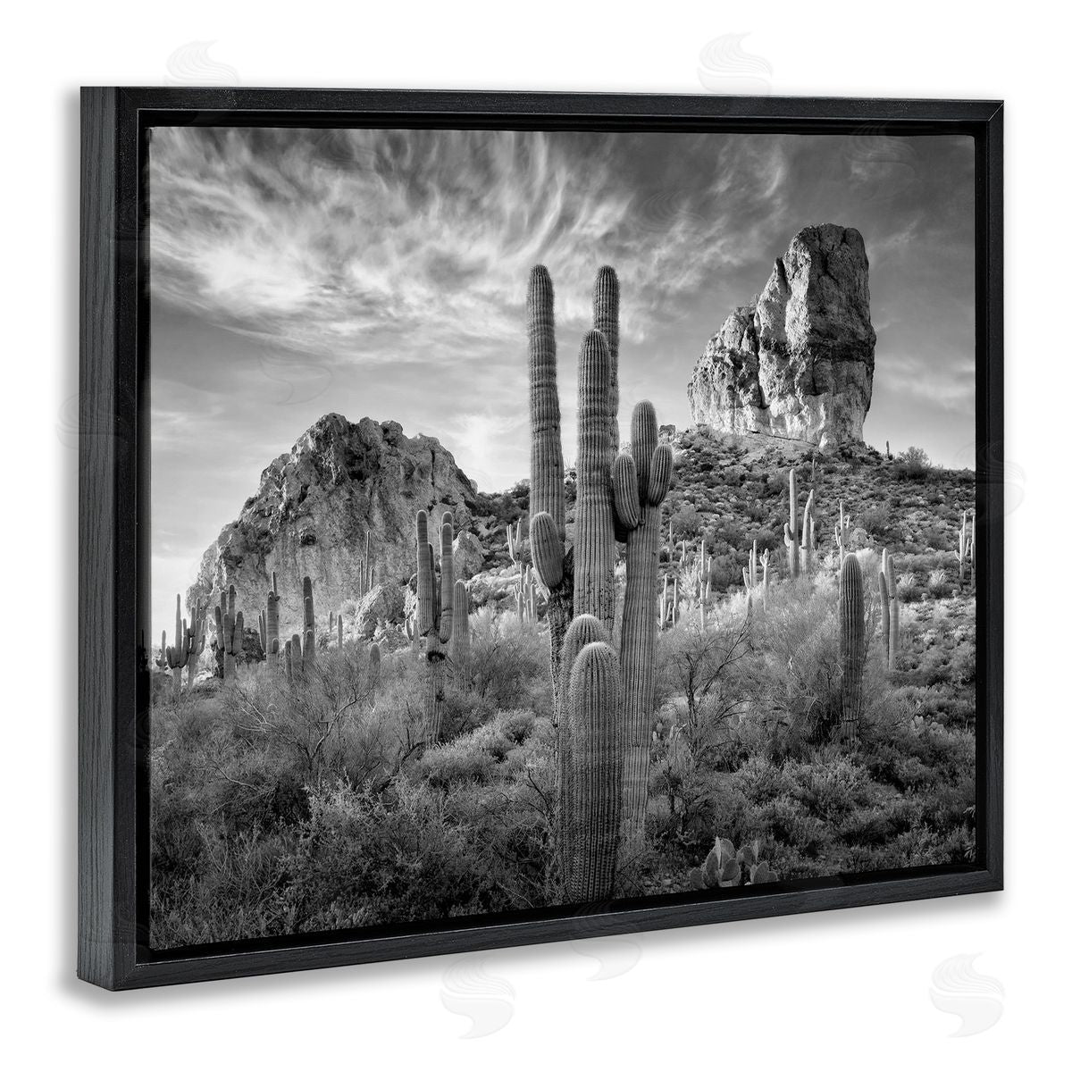 David Drost | Looming Cacti & Canyon View