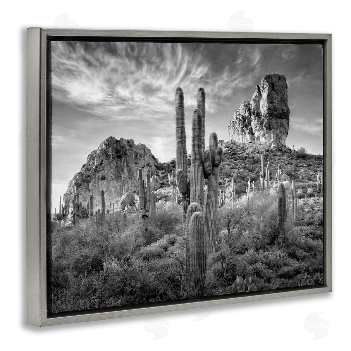 David Drost | Looming Cacti & Canyon View