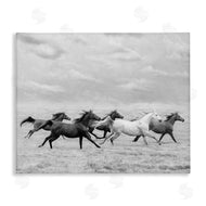PHBurchett | Galloping Horse Herd