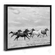 PHBurchett | Galloping Horse Herd