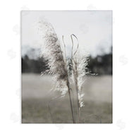 Jason Johnson | Close Up Wheat Sprig