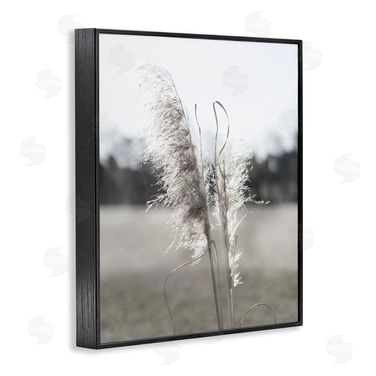 Jason Johnson | Close Up Wheat Sprig
