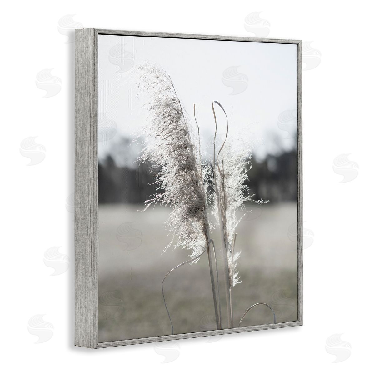 Jason Johnson | Close Up Wheat Sprig