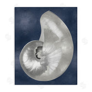 Caroline Kelly | Curved Nautilus Shell