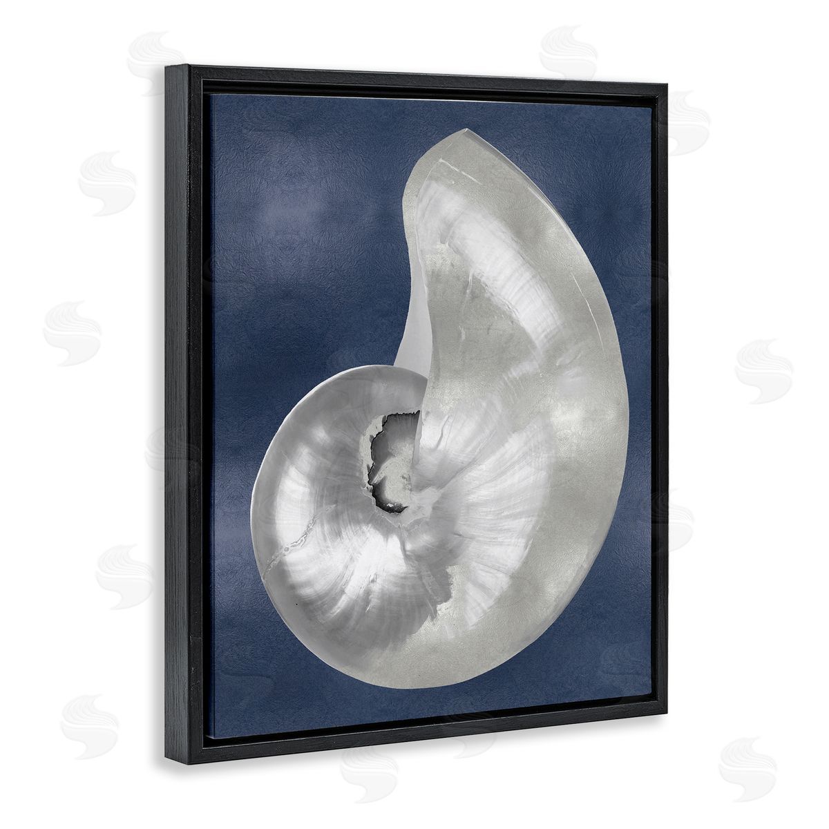 Caroline Kelly | Curved Nautilus Shell