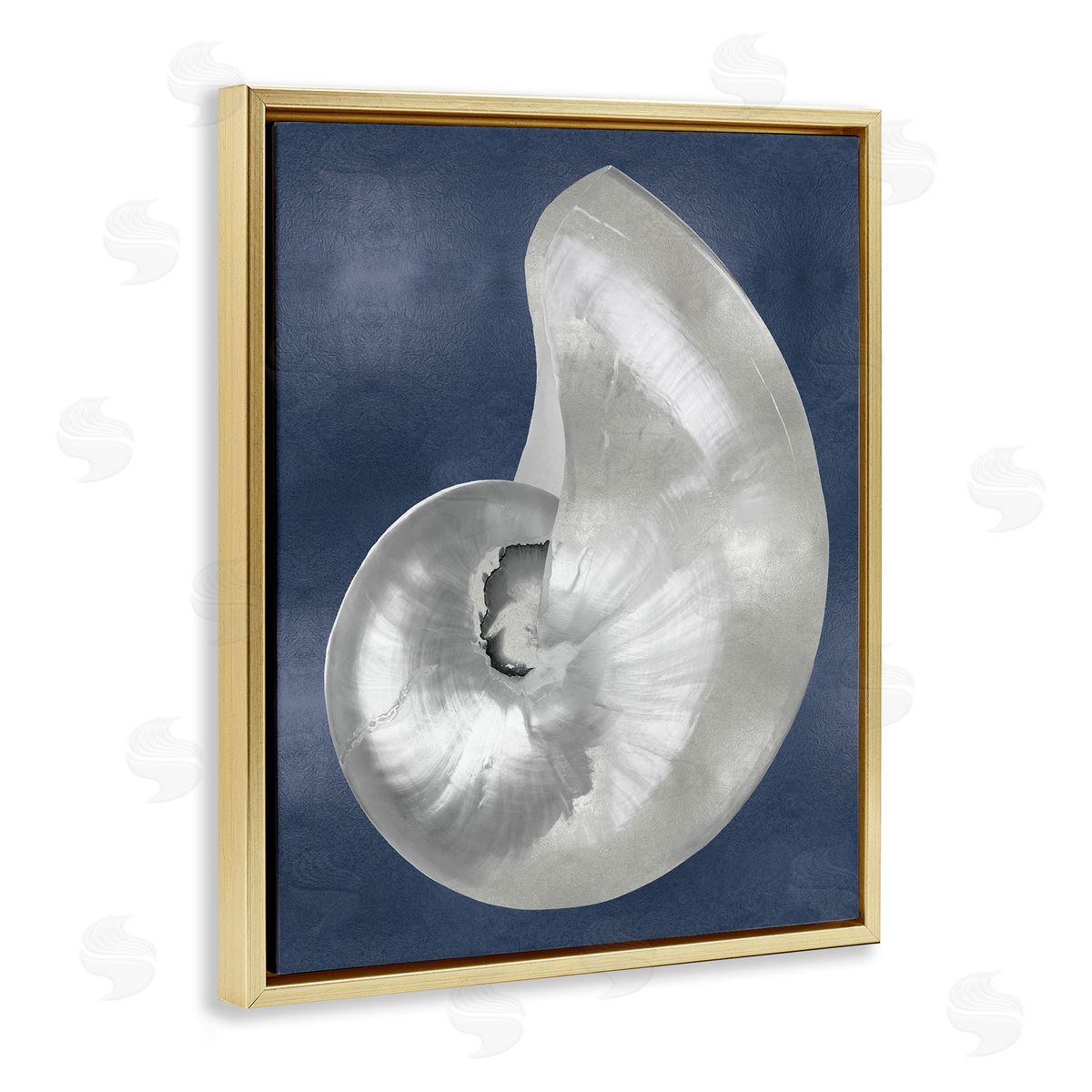 Caroline Kelly | Curved Nautilus Shell