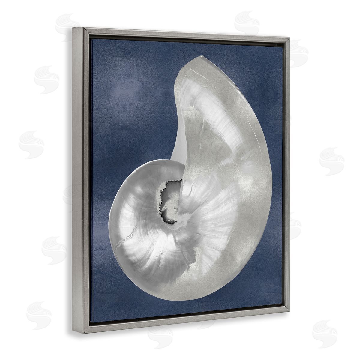 Caroline Kelly | Curved Nautilus Shell