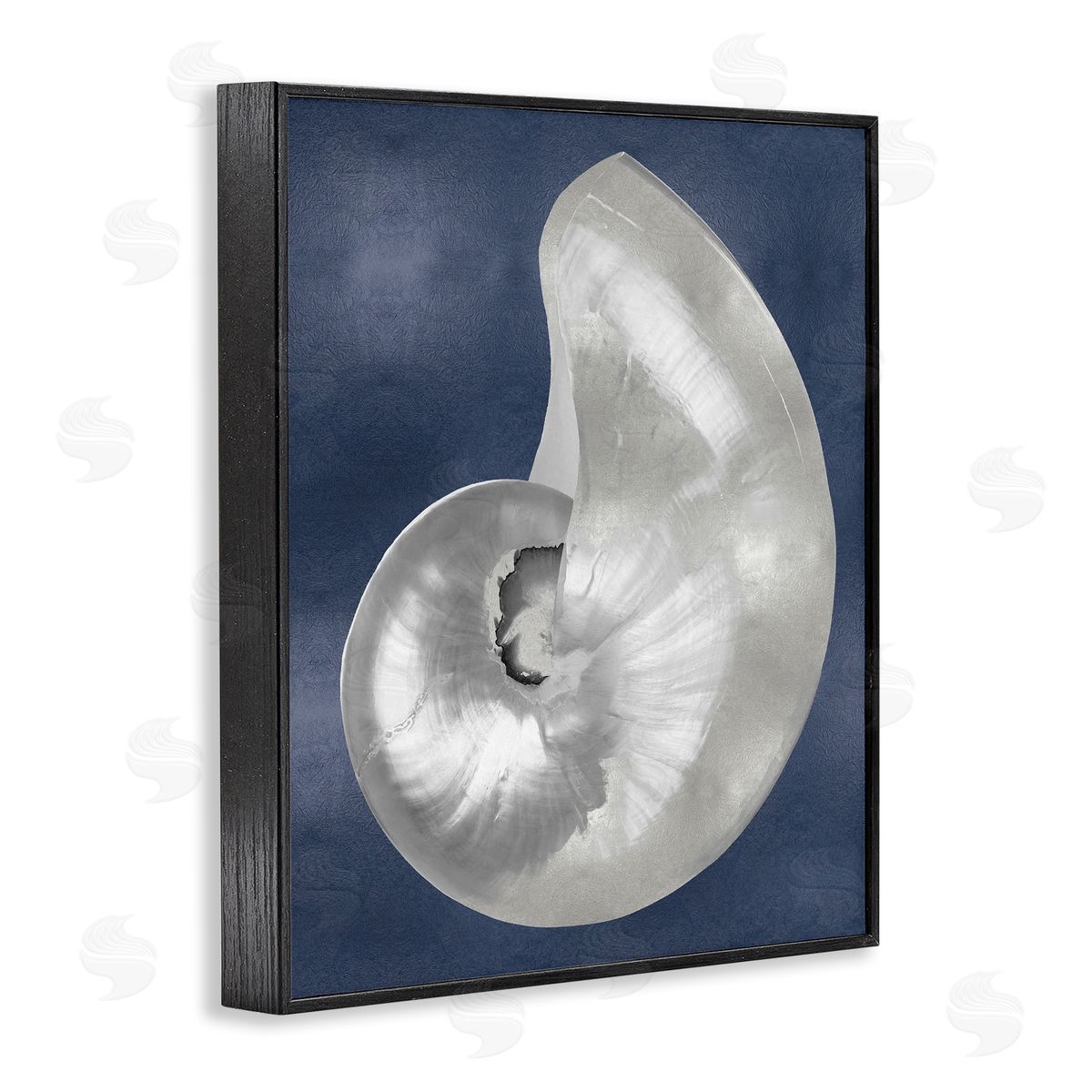 Caroline Kelly | Curved Nautilus Shell