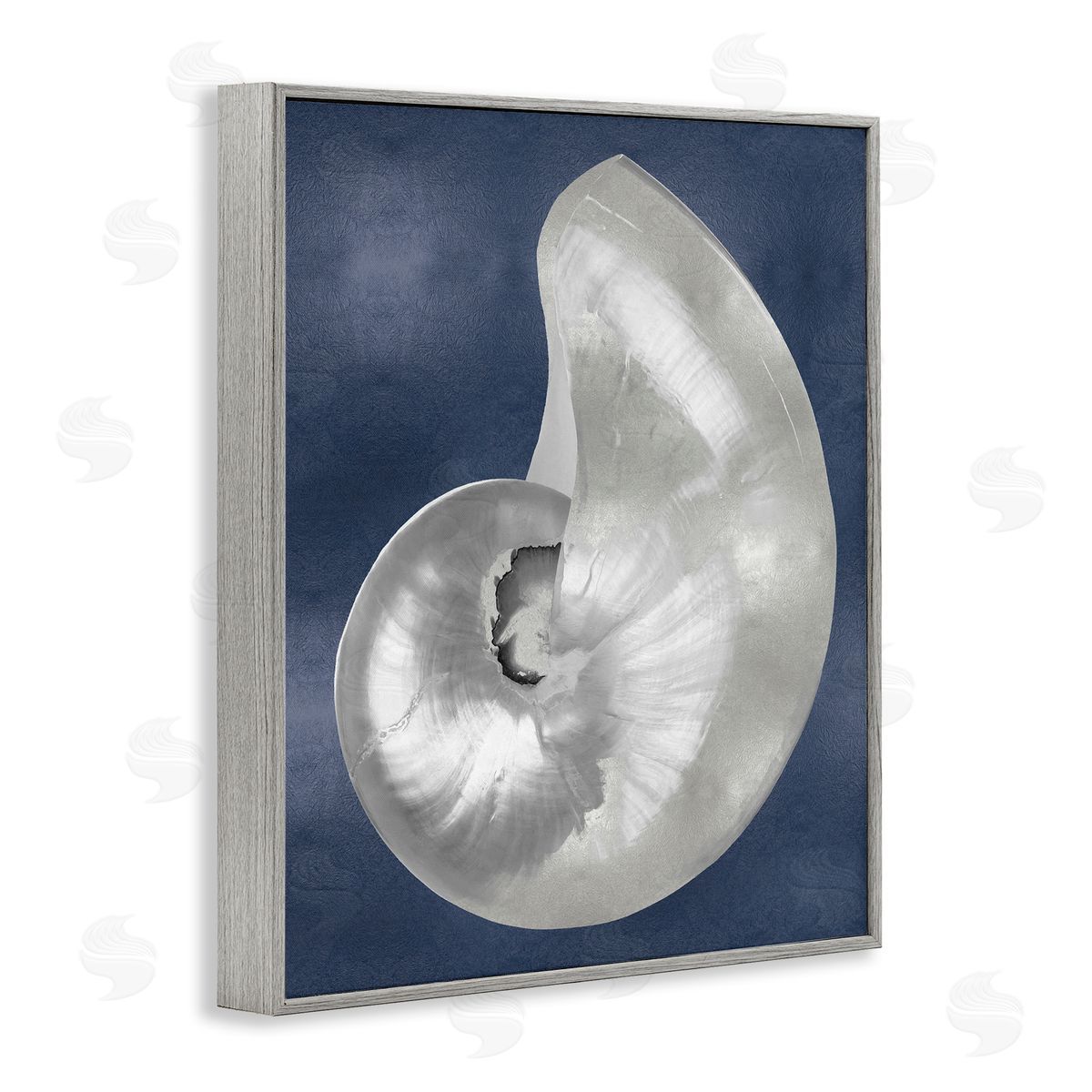 Caroline Kelly | Curved Nautilus Shell