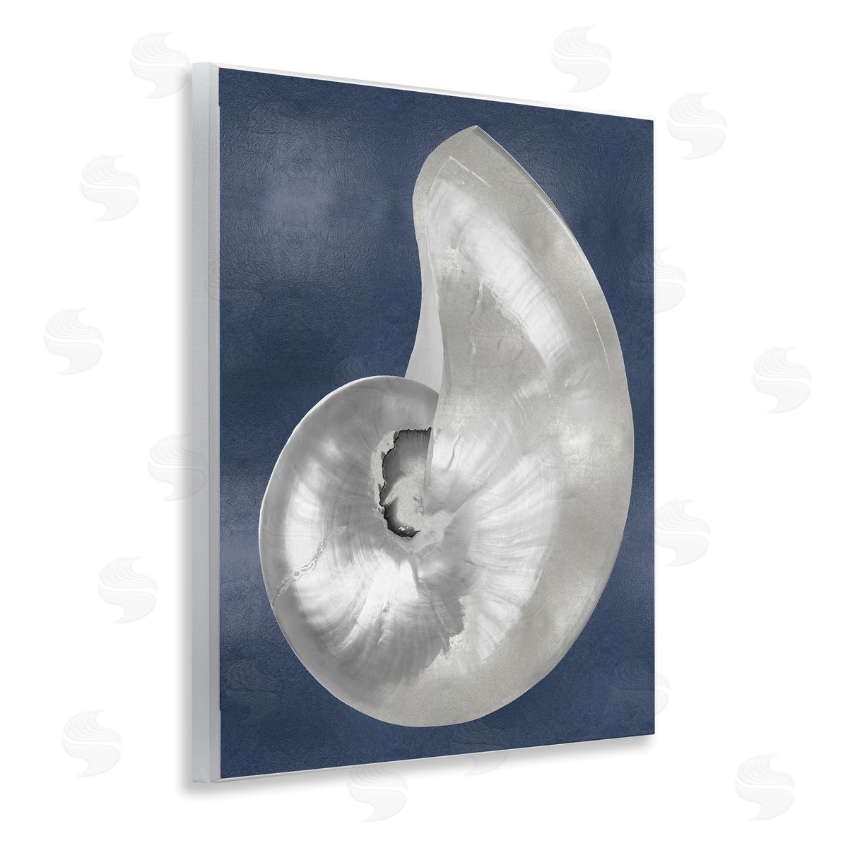 Caroline Kelly | Curved Nautilus Shell