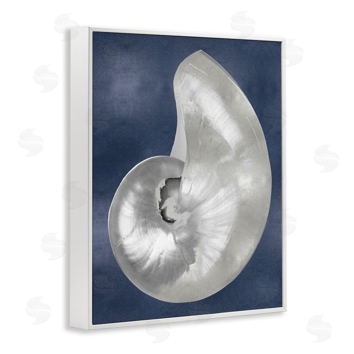 Caroline Kelly | Curved Nautilus Shell