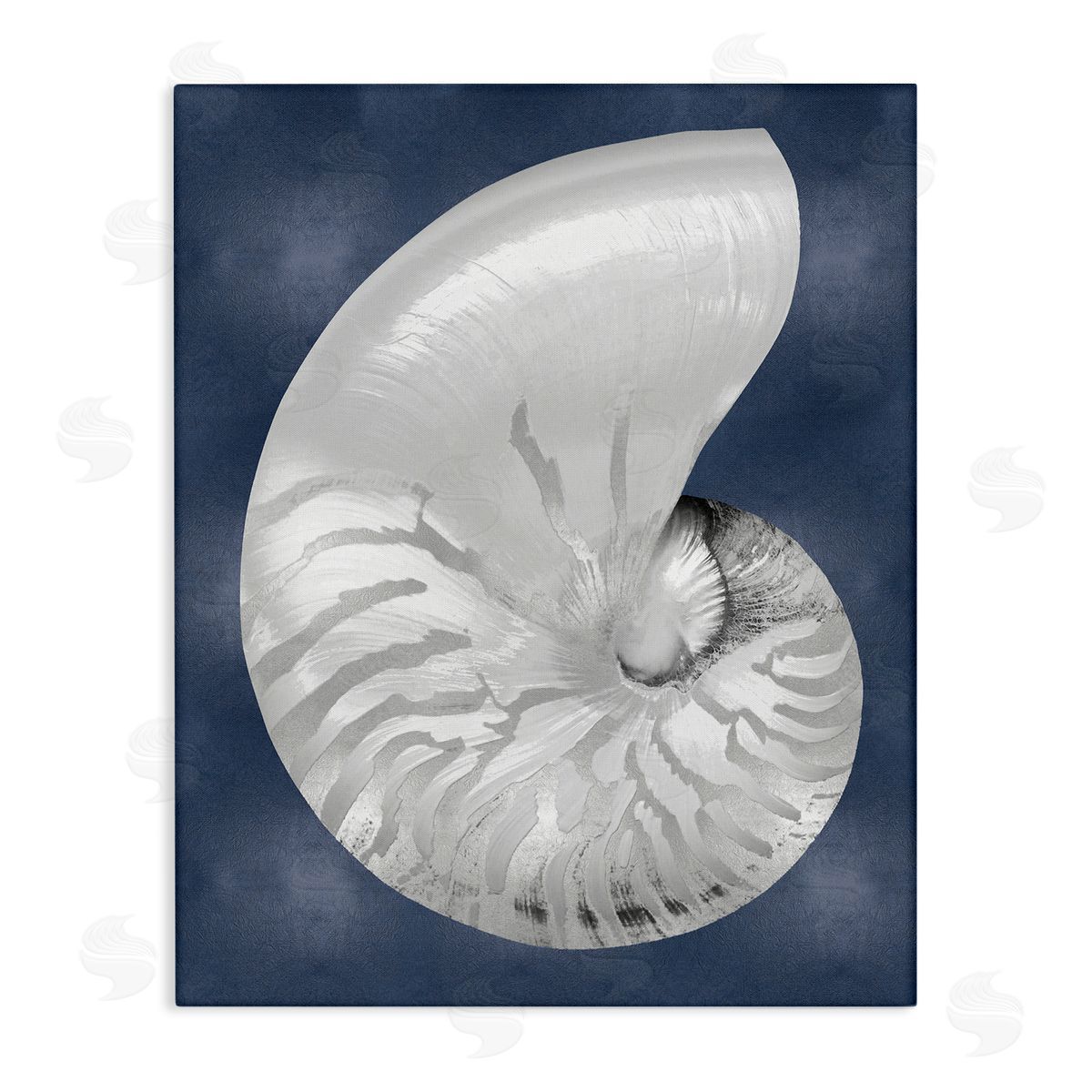 Caroline Kelly | Striped Nautilus on Blue