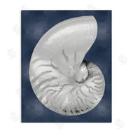 Caroline Kelly | Striped Nautilus on Blue