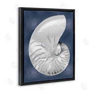 Caroline Kelly | Striped Nautilus on Blue
