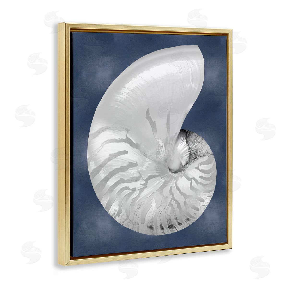 Caroline Kelly | Striped Nautilus on Blue