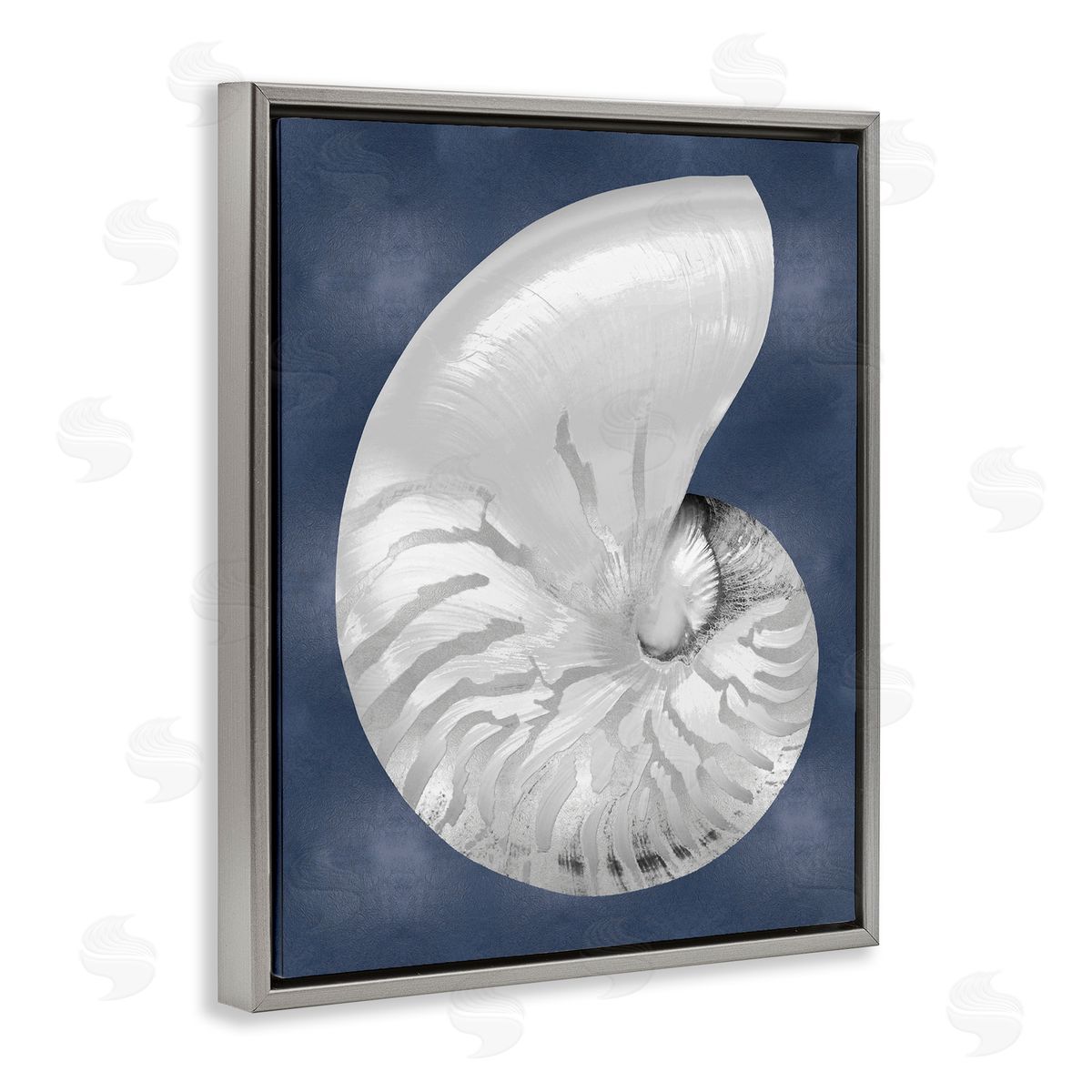 Caroline Kelly | Striped Nautilus on Blue