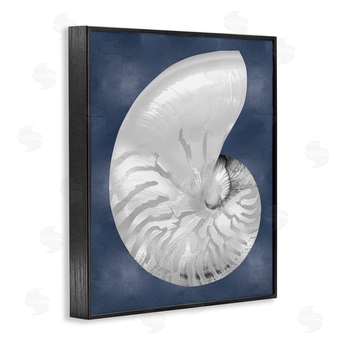 Caroline Kelly | Striped Nautilus on Blue