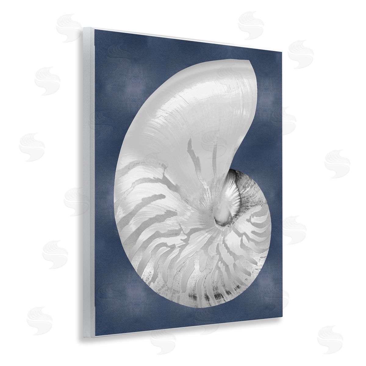 Caroline Kelly | Striped Nautilus on Blue