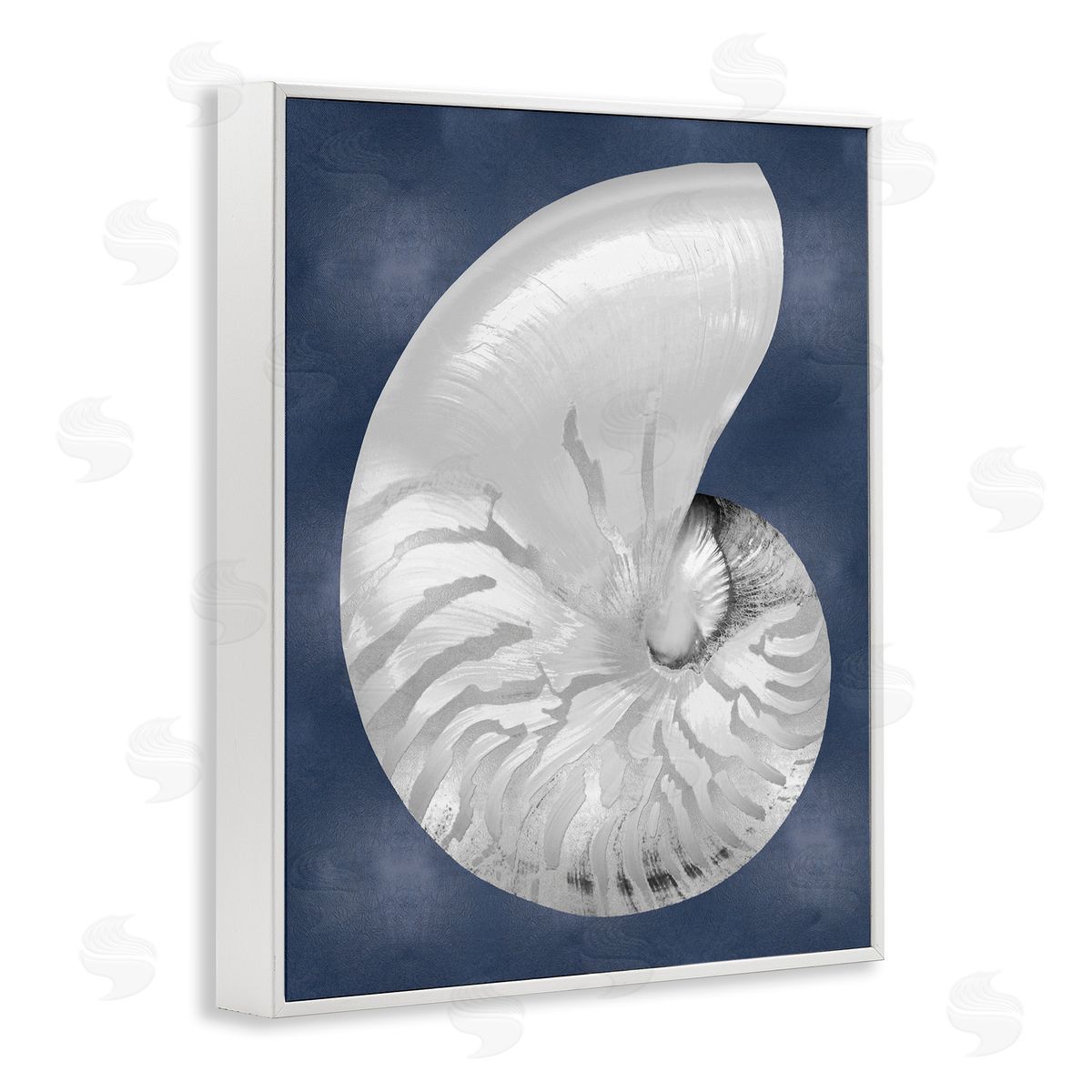 Caroline Kelly | Striped Nautilus on Blue