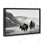 Danita Delimont | Horse Trio on Mountainside
