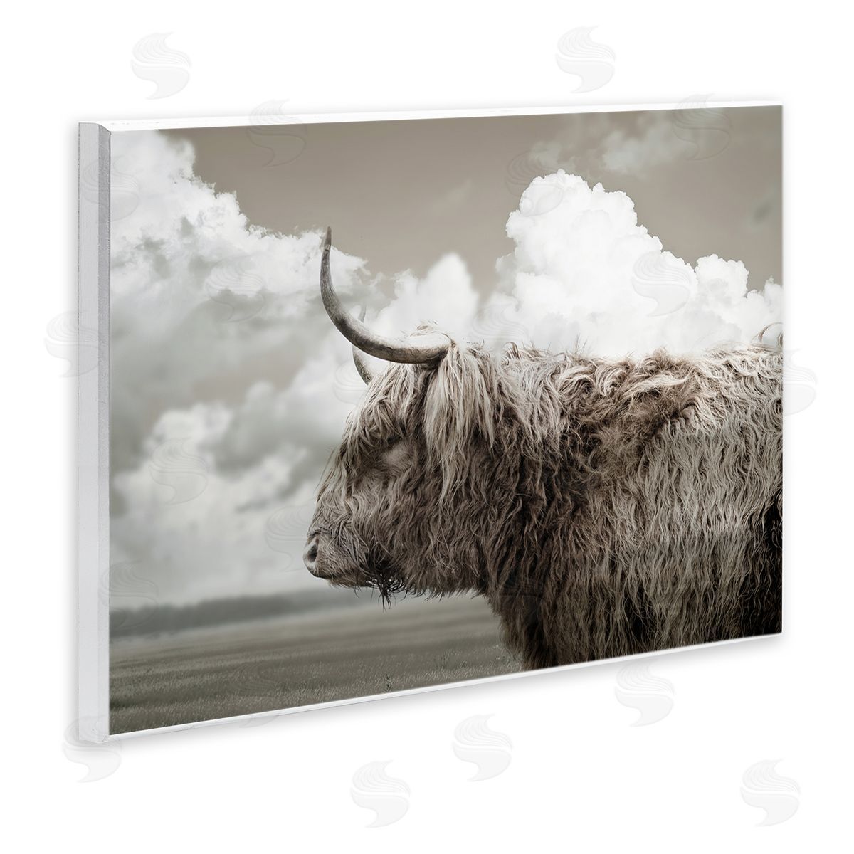CAD Designs | Longhorn Cattle & Clouds View