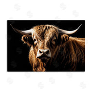 Susan Arnot | Bold Contrast Cattle Portrait