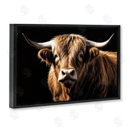Susan Arnot | Bold Contrast Cattle Portrait
