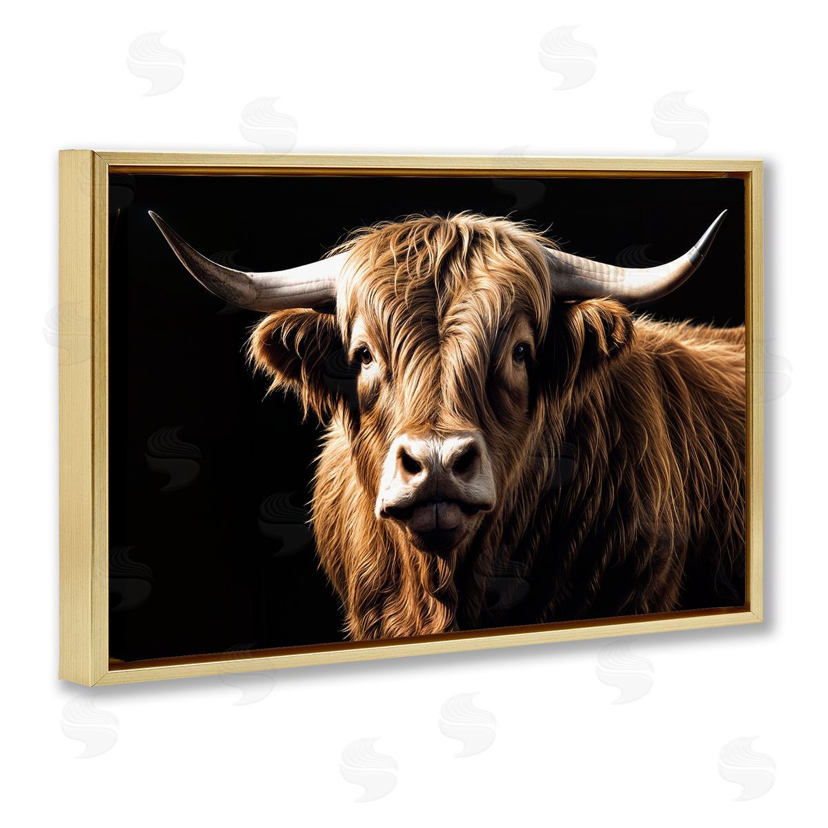 Susan Arnot | Bold Contrast Cattle Portrait