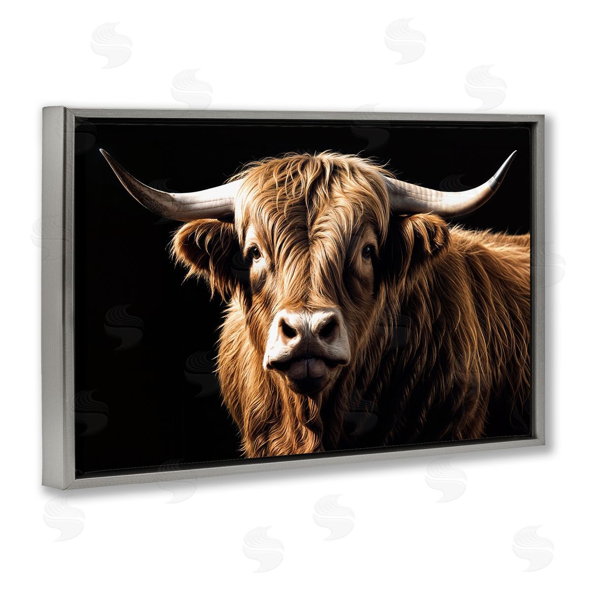 Susan Arnot | Bold Contrast Cattle Portrait