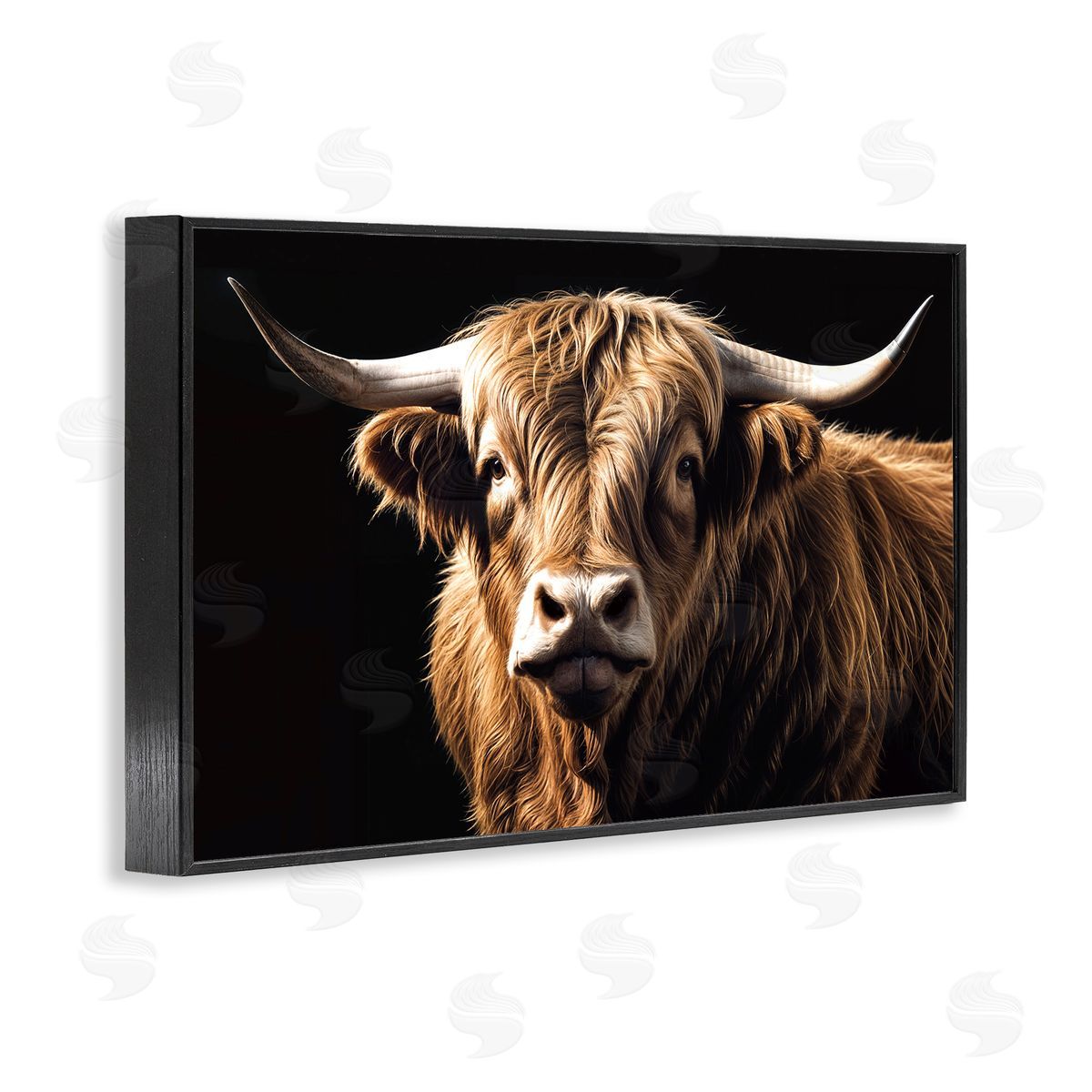Susan Arnot | Bold Contrast Cattle Portrait