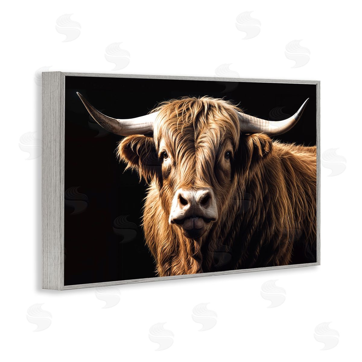 Susan Arnot | Bold Contrast Cattle Portrait