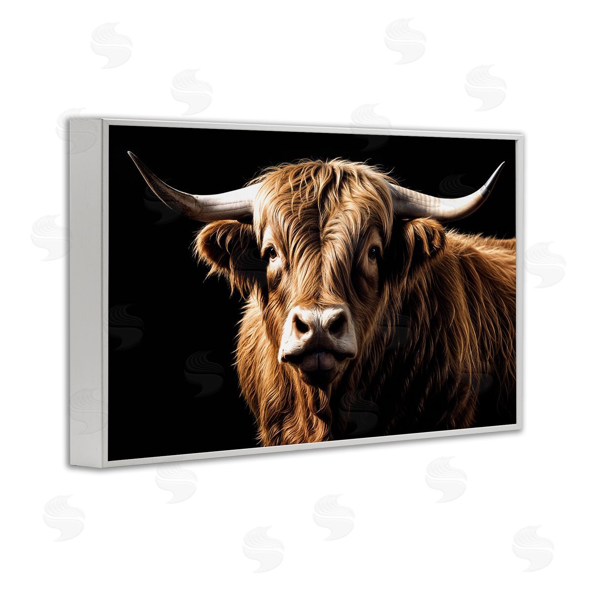 Susan Arnot | Bold Contrast Cattle Portrait
