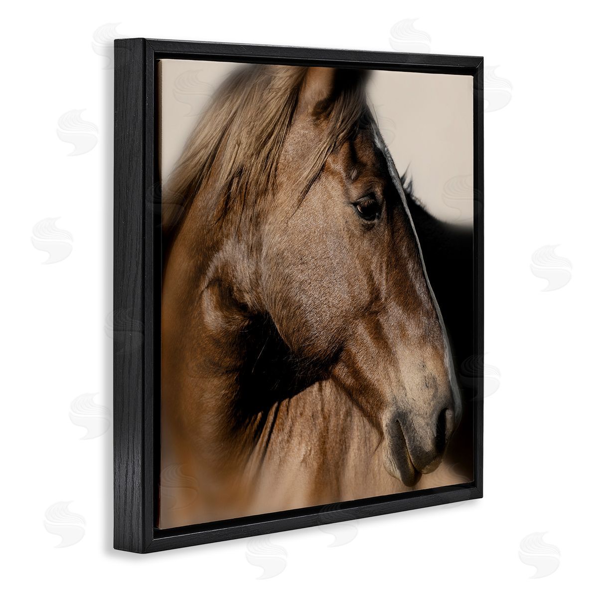 Danita Delimont | Elegant Brown Horse Close Up