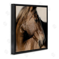 Danita Delimont | Elegant Brown Horse Close Up